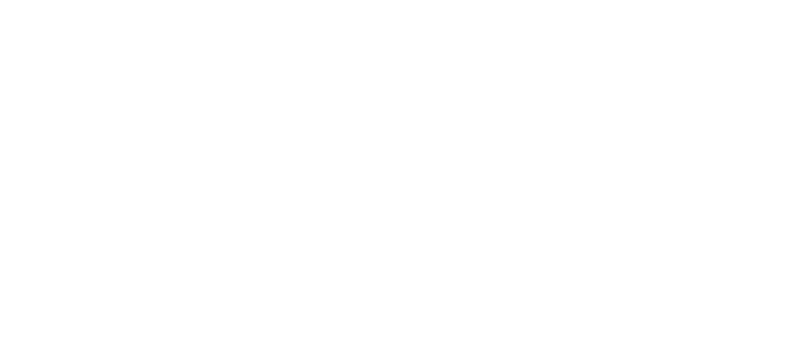 Bolt Logo